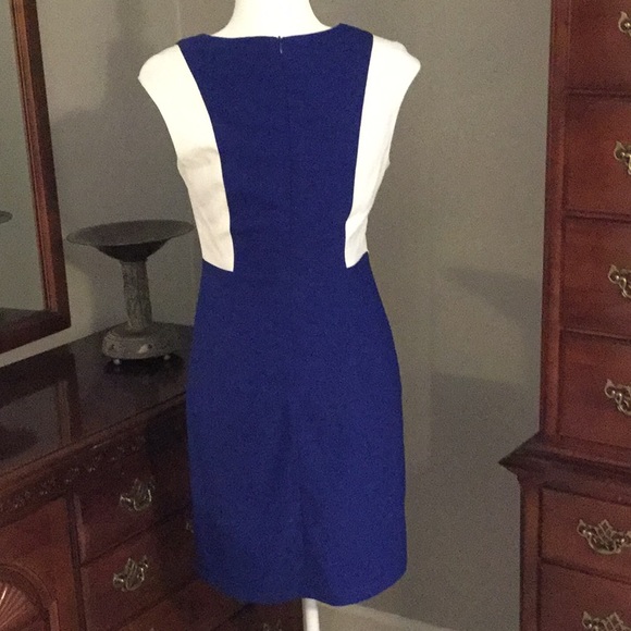 C. Luce Royal and White Dress - Picture 2 of 4